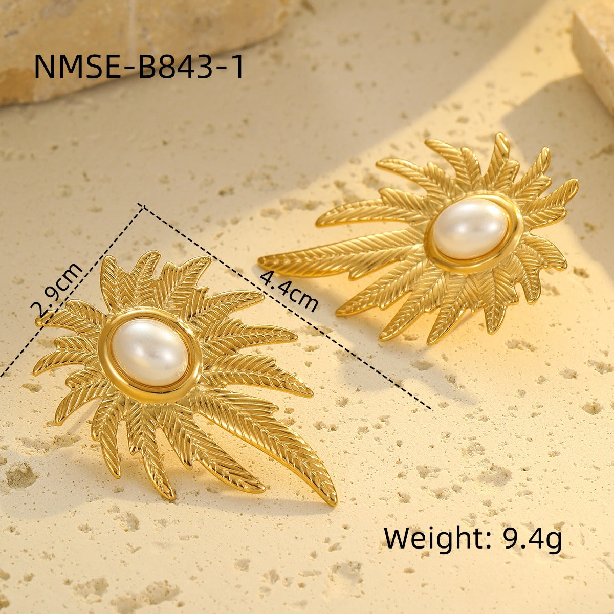 NMSE-B843-1