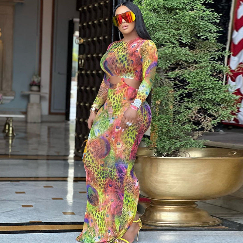 round Neck Tight Maxi Dress Phoenix Tail Printed Long Sleeve Narrow Pencil Dress Street Hipster Women
